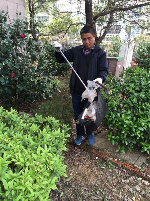 控制鼠害、預防疾病，構建和諧文明社區(qū)